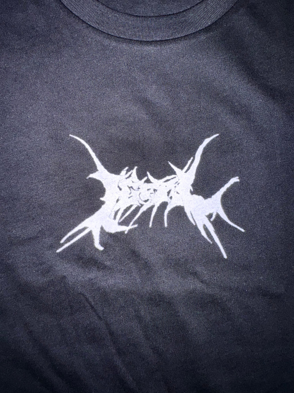 IGERL Extreme Shirt